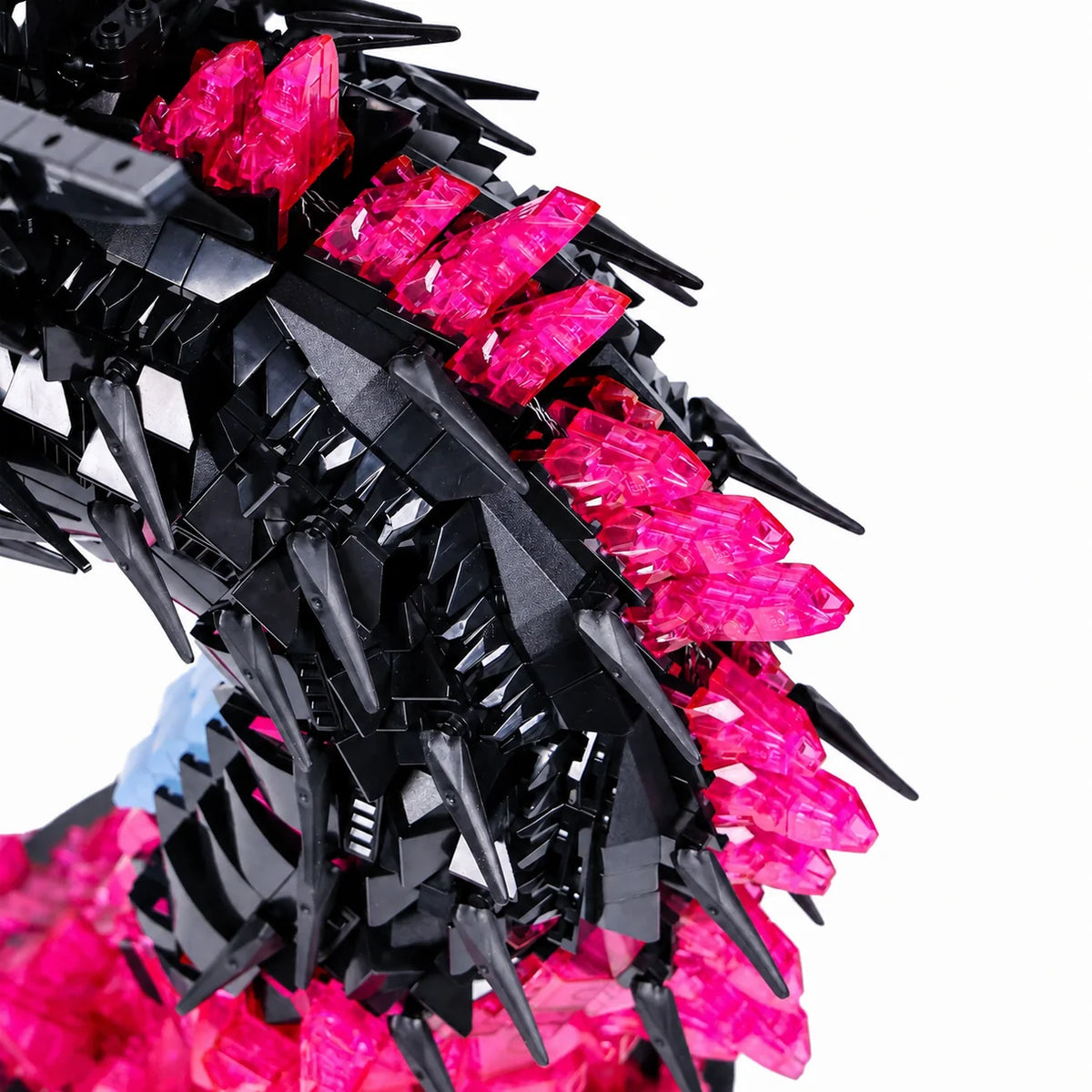 Close-up of black scales and pink crystal spines
